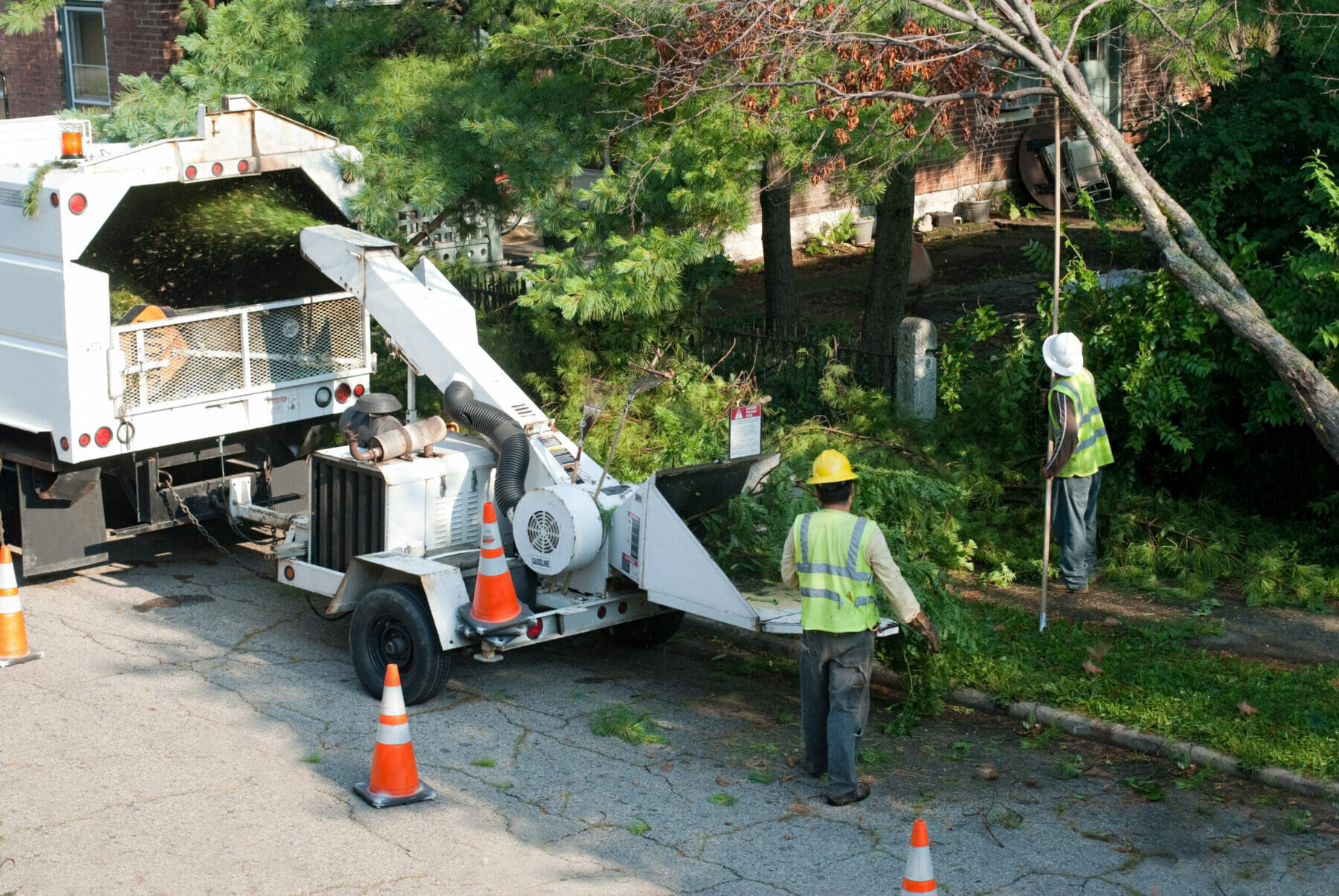 large wood chipper being used to clean up fallen limbs