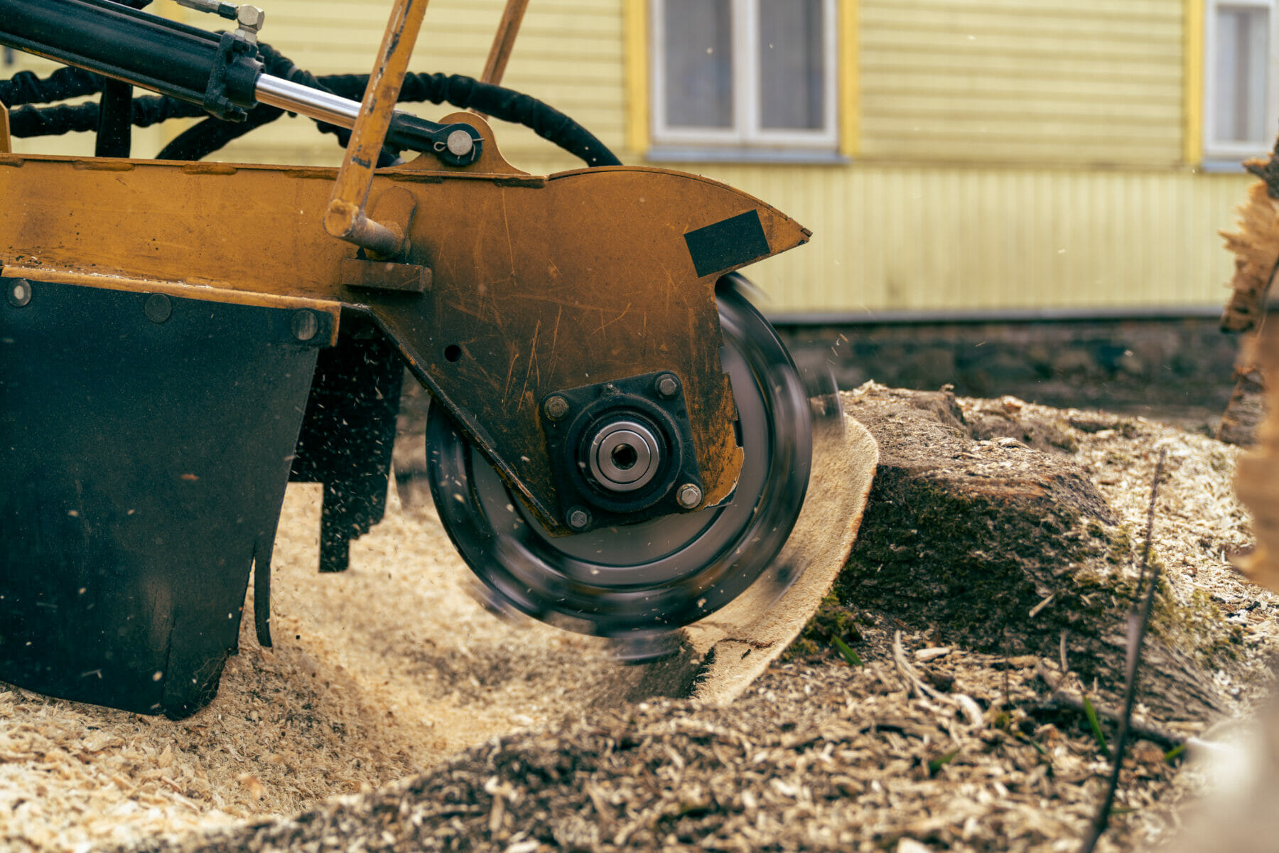 Removal of a tree stump using a stump grinder